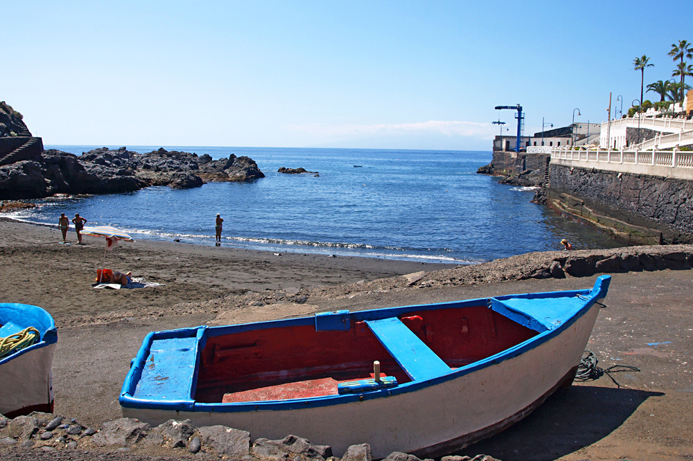 boat trips from puerto de santiago tenerife